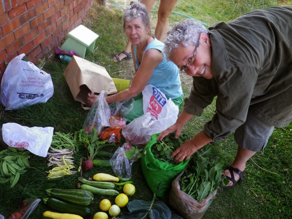 Preparing the weekly harvest at the GardenShare.