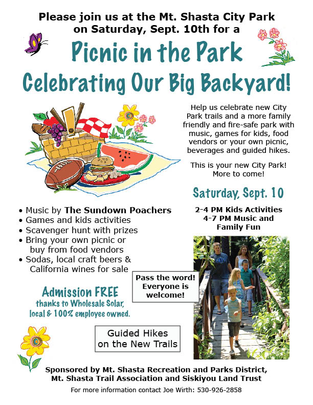 PicnicParkPoster2EMAIL-WEB