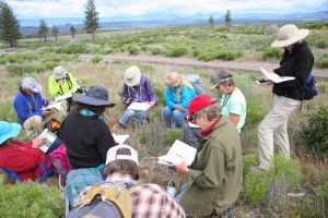Spring wildflower field trip led by Leslie Tift in support of the new Mt. Shasta Wildflowers field guide. 