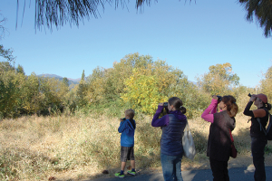 Morning bird walk in Sisson Meadow.