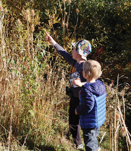 Exploring around the pond.