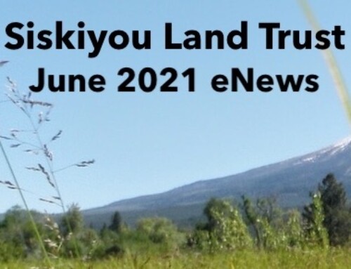 SLT June 2021 e-Newsletter