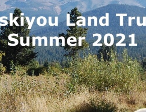 SLT August 2021 e-Newsletter