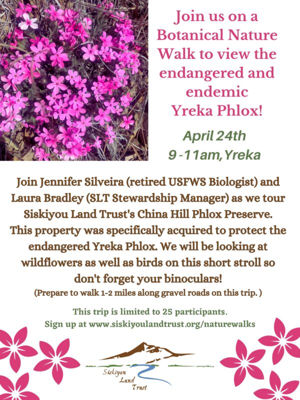 Phlox Walk flyer April 24 9-11 am Yreka. email laurabradley@siskiyoulandtrust.org for details. Click to register.