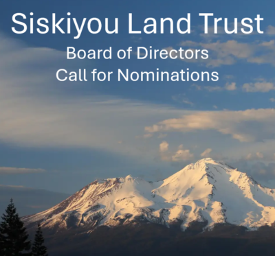 click image to read the board of directors call for nominations info packet (pdf)