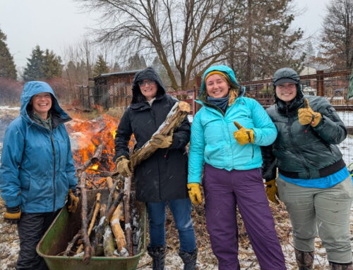 Volunteers & AmeriCorps in Action