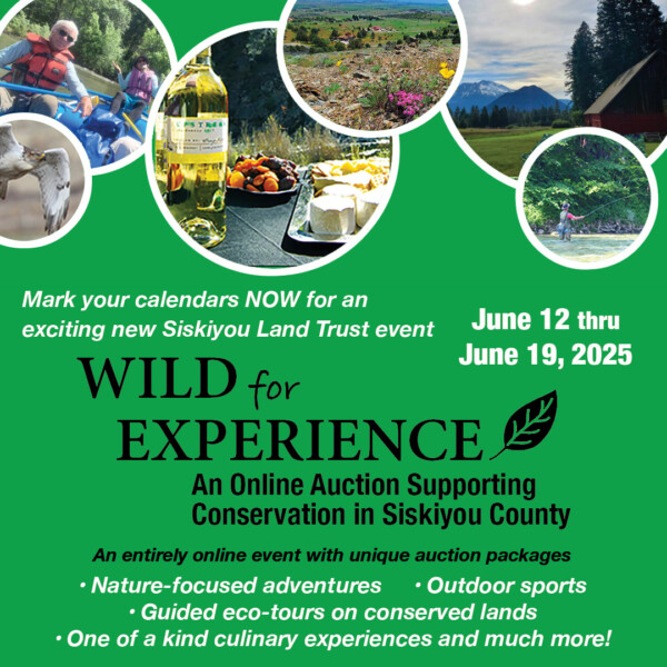 experience auction flyer, information same as page text.