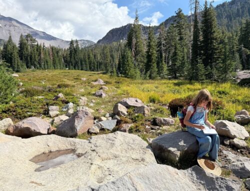 September E-News from SLT