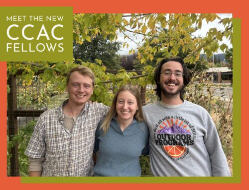 October E-News from SLT
