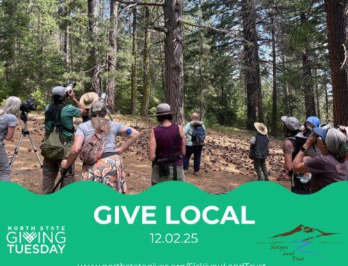 Early Giving Tuesday is Now Open!