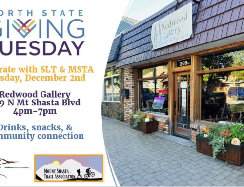 What do Donkeys Know about Conservation?