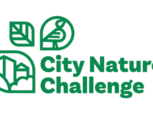 iNaturalist City Nature Challenge