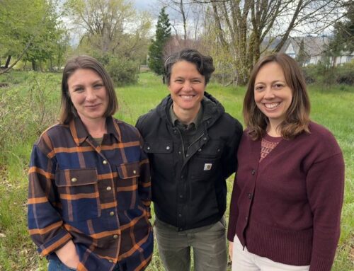 Meet the Co-Leaders of SLT