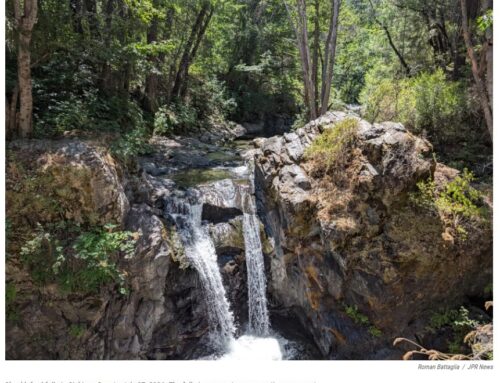 In the News: 40,000 acres conserved!